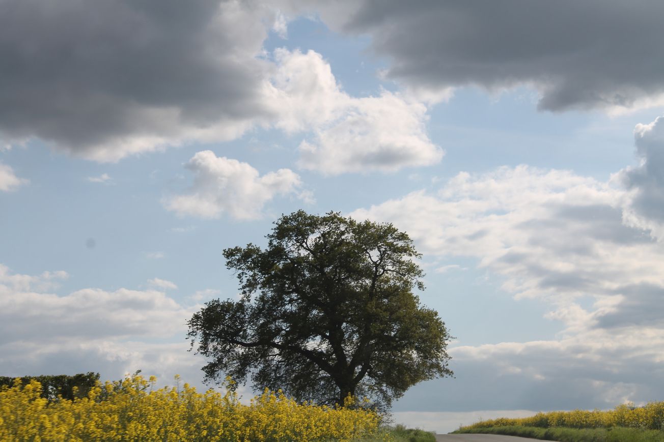 It's time to stop stigmatising personality disorders