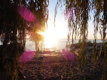 All-you-can-fly: the balance between traveller and environmentalist