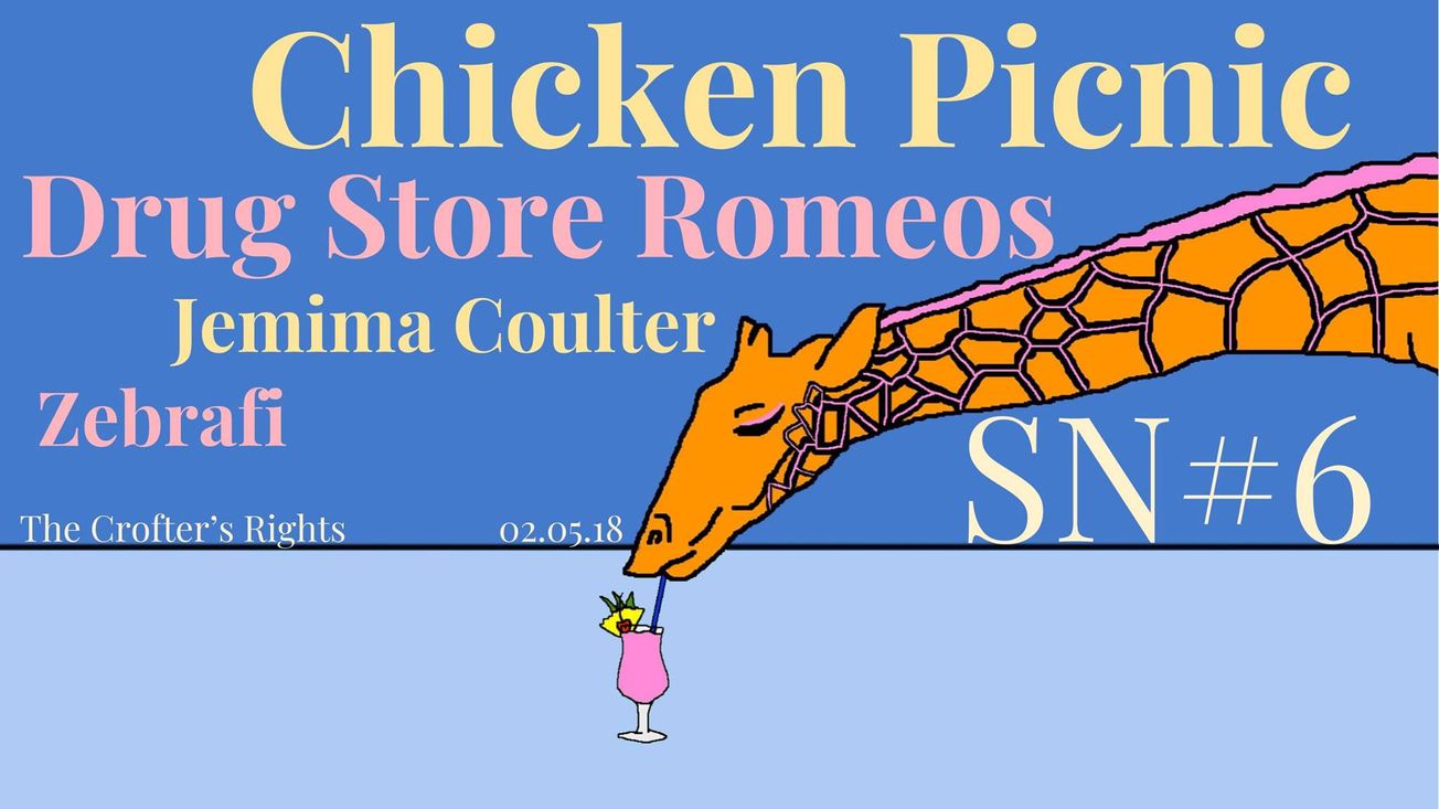 Review / SN#6: Chicken Picnic, Drug Store Romeos, Zebrafi & Jemima Coulter
