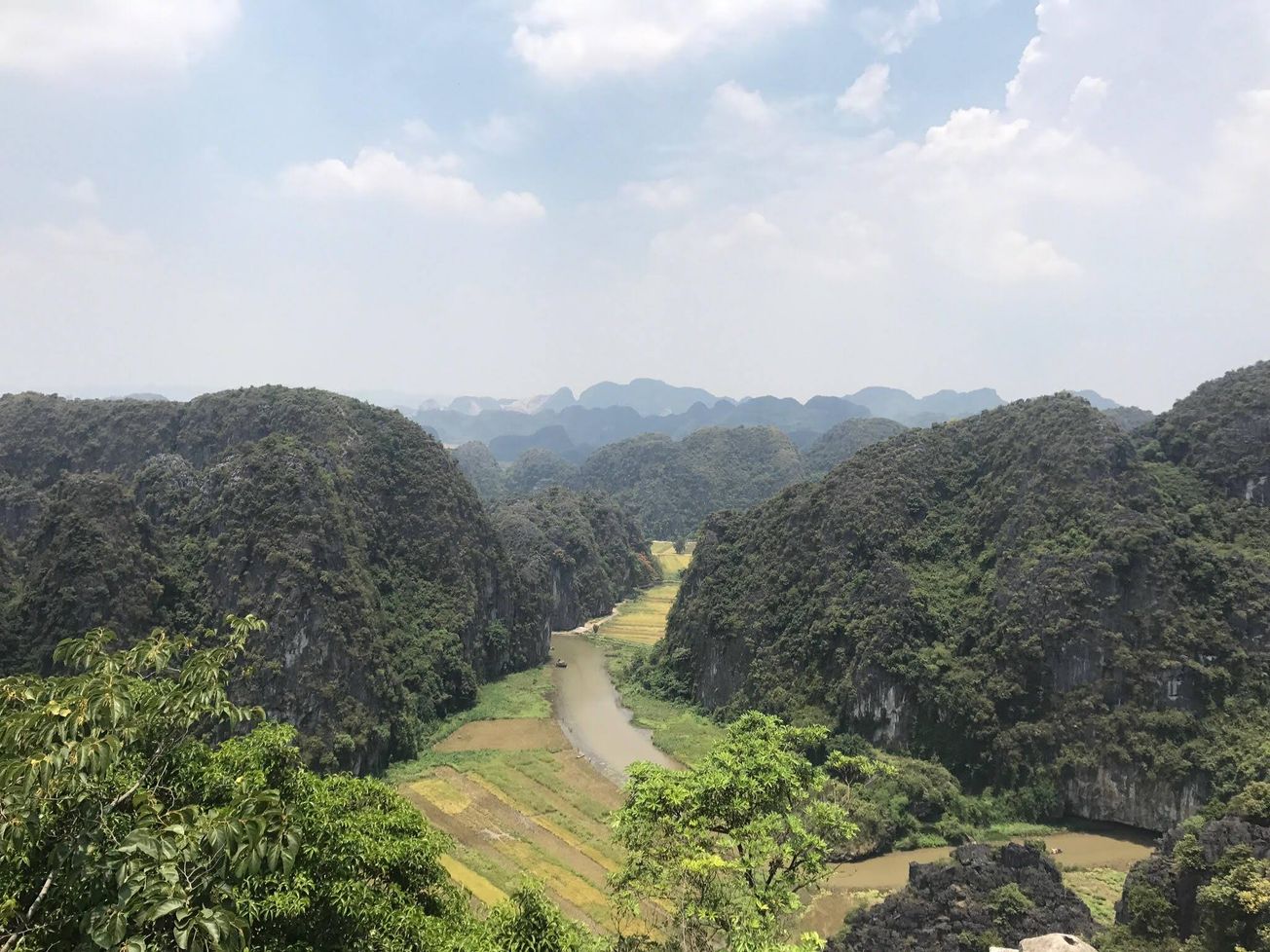 Where does your 11am coffee from the ASS cafe really come from?
