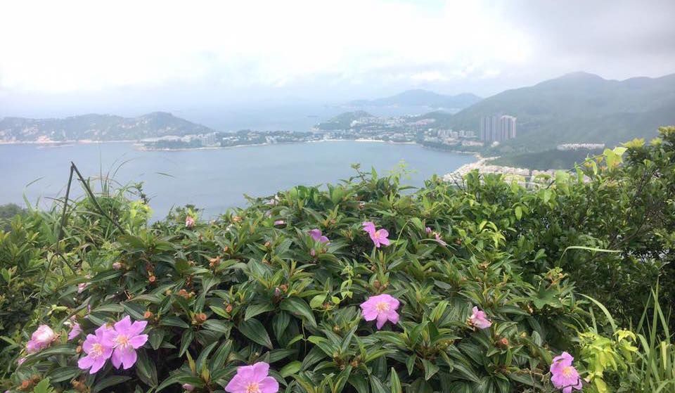 Want to hear about my trip to Bali, yah?