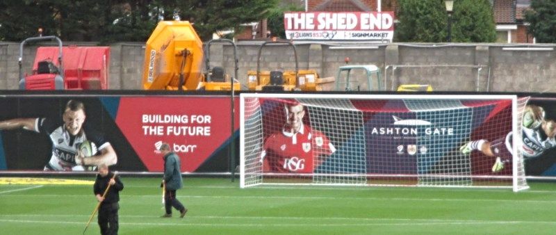 Bears roar to life in Premiership return