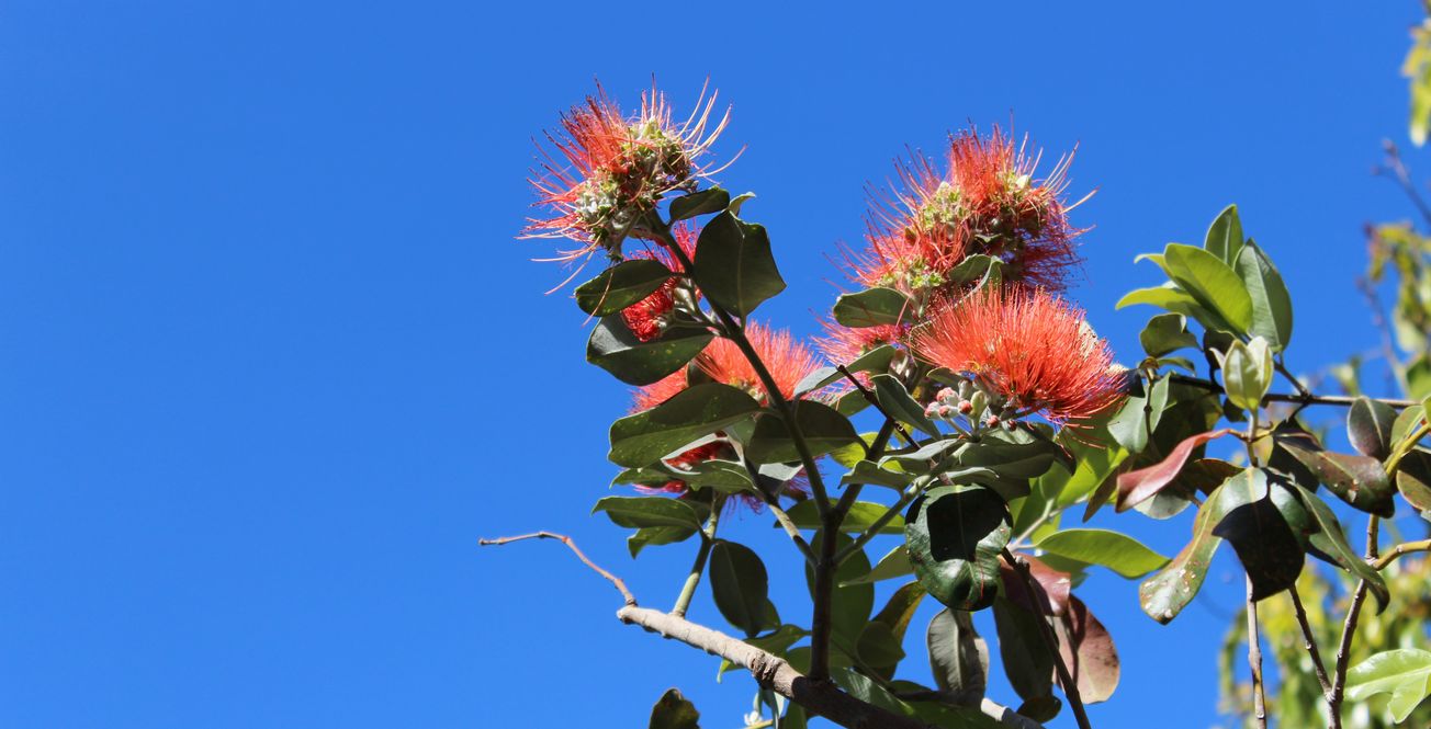 The struggles of OCD at university