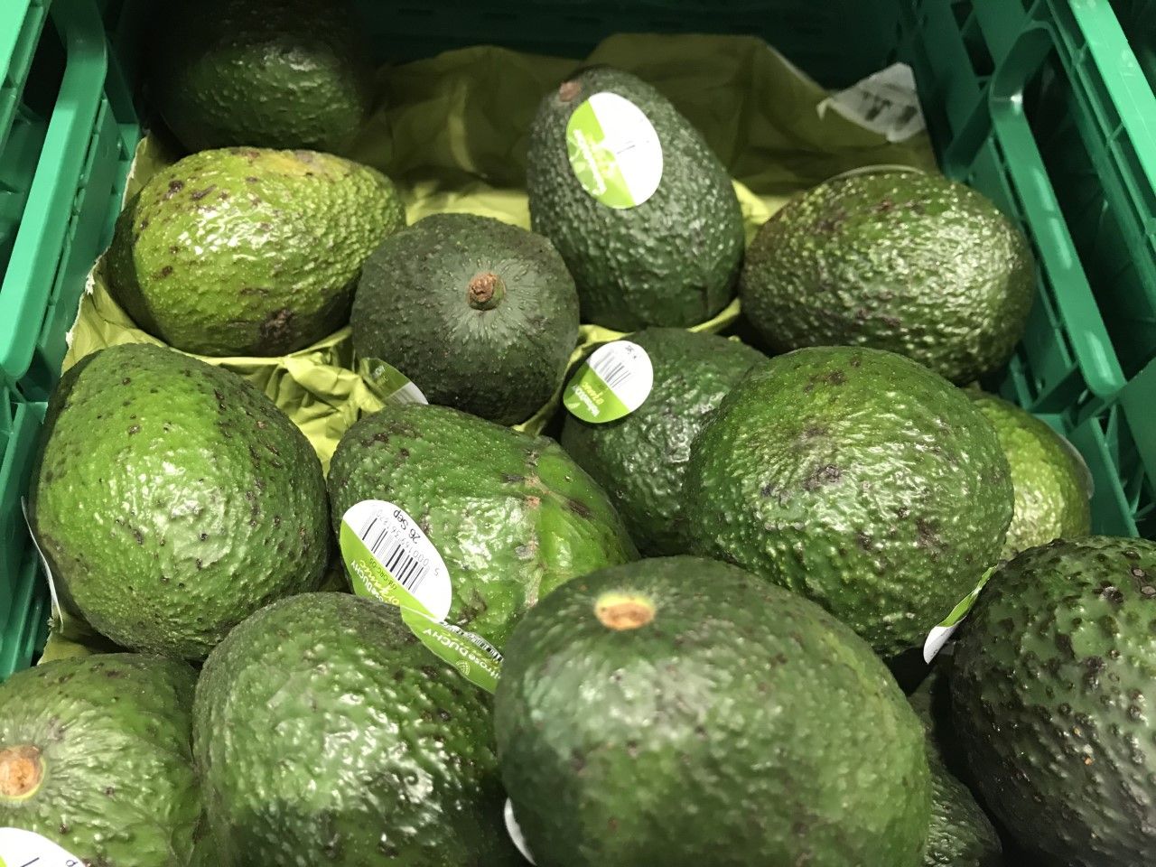 10 top tips your Freshers' guide forgot to mention