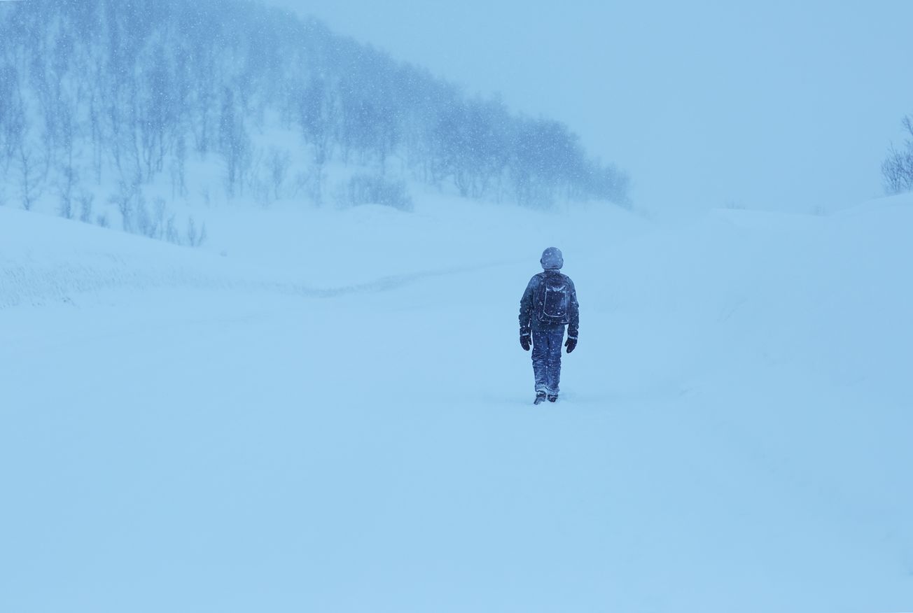 Encounters Festival: Films from the Arctic