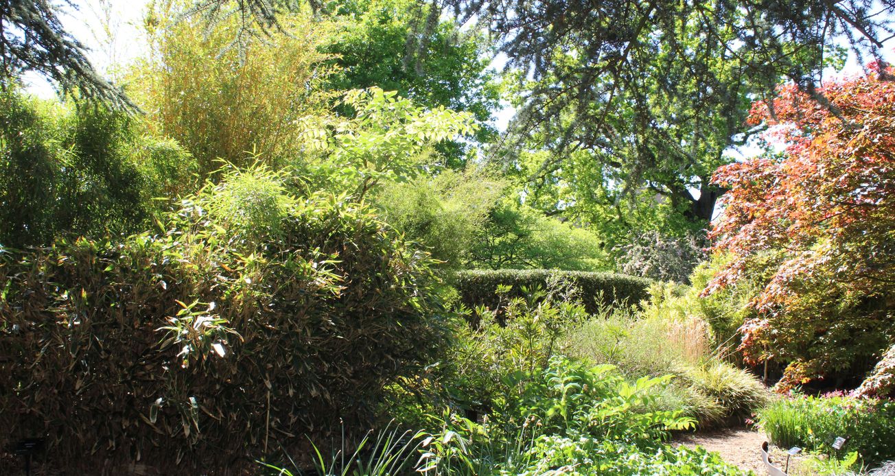 Overcoming trauma: steps you can take towards healing