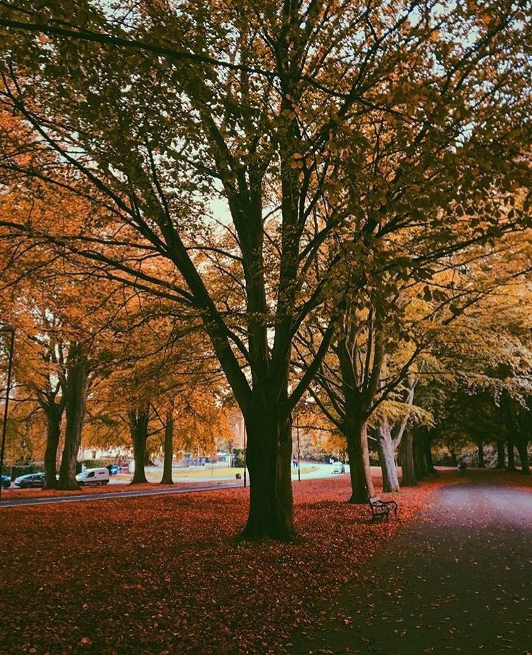 Dyspraxia: an insight