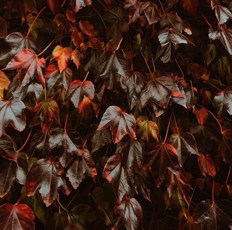 Managing stress, loneliness and homesickness at university