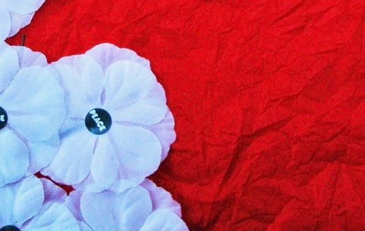 The red poppy forgets the majority of those who died; students should look elsewhere