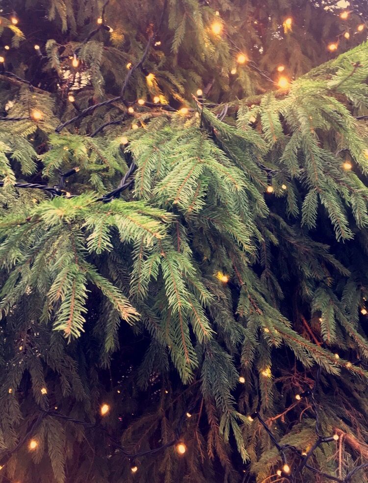 What are unhealthy coping mechanisms?