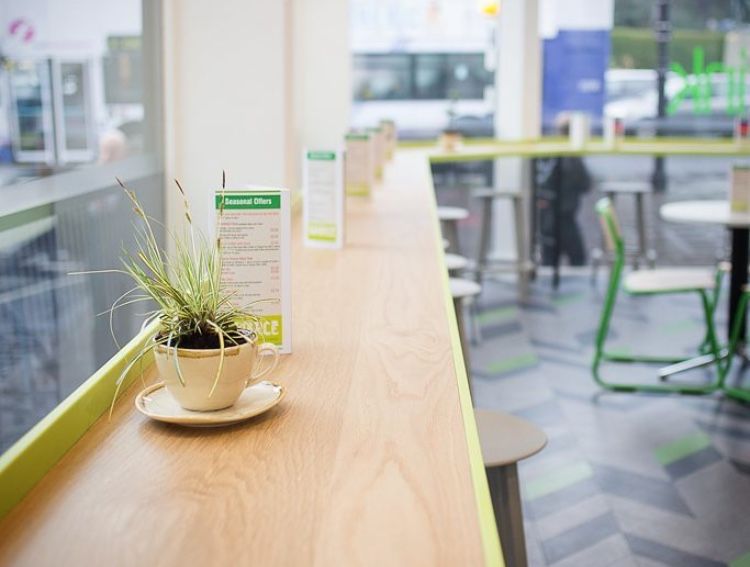 Source cafés are overpriced and overrated