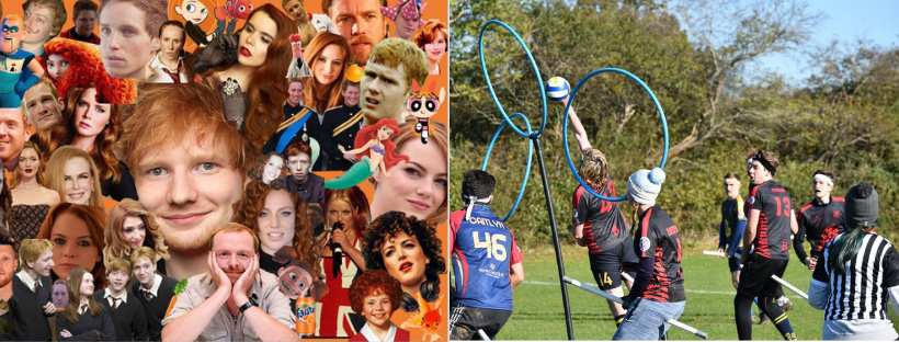 What are some of the University's most bizarre societies?