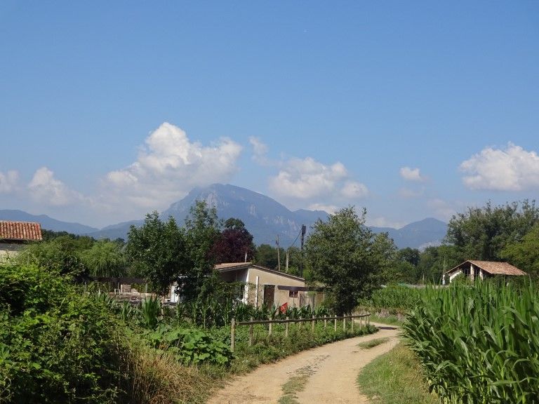 Mental health on the road