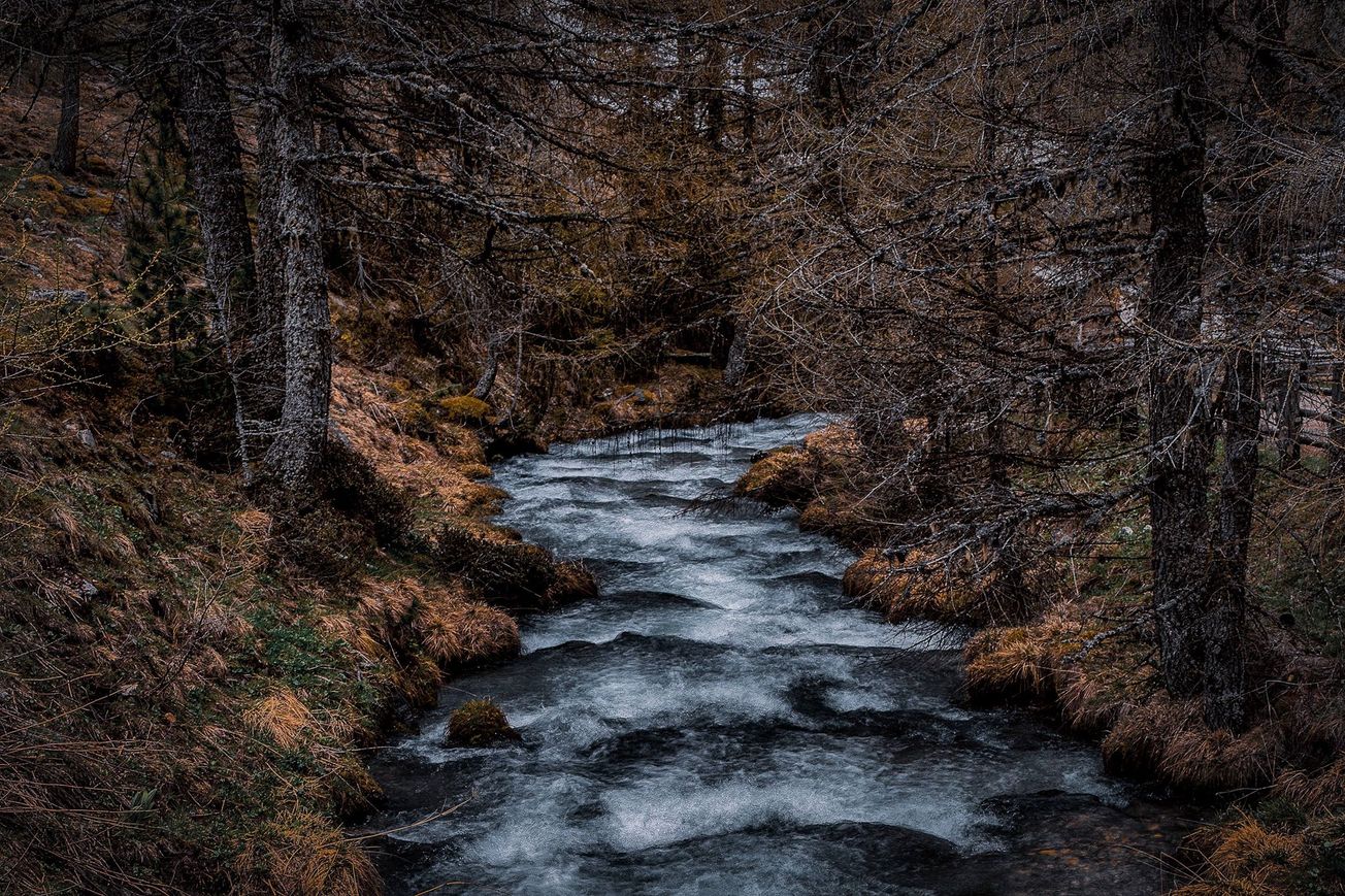 Why the Student Wellbeing Service should be valued, not underrated.