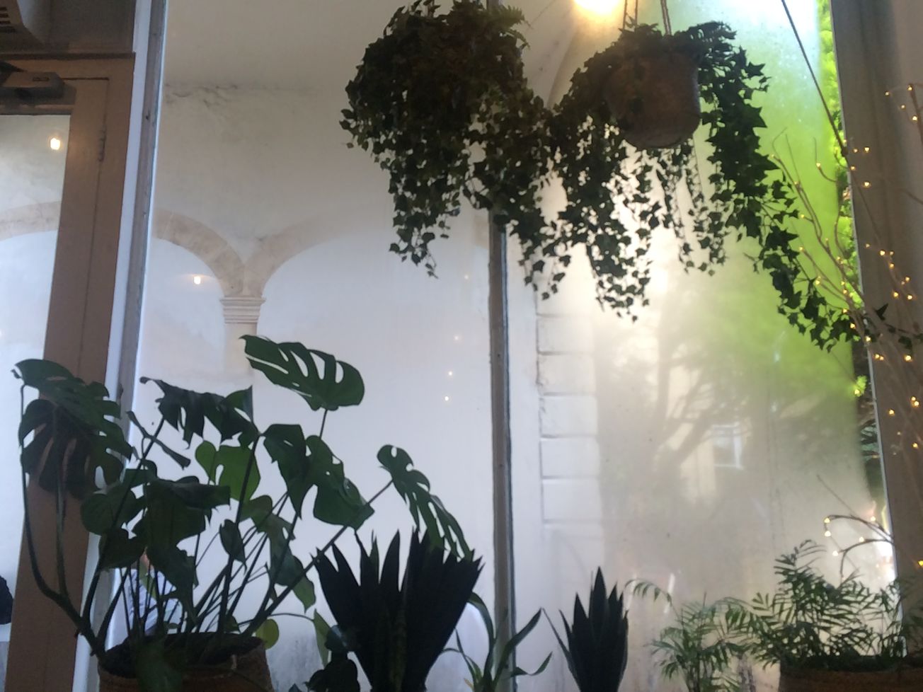 Bristol named the world's top city for veganism