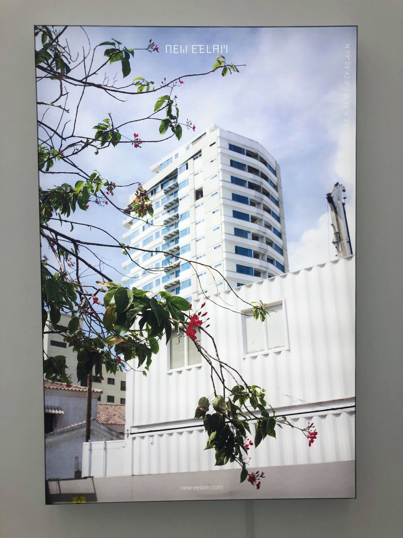 Is it art? New Eelam: Bristol @ Spike Island