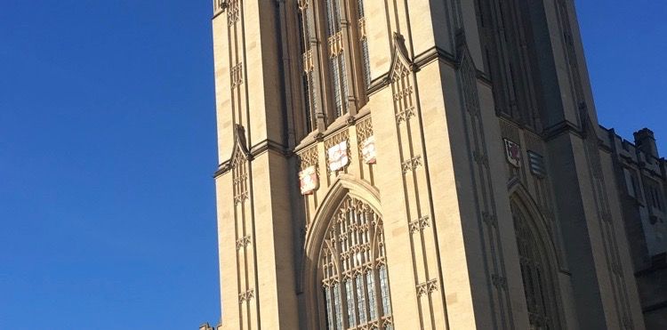 Final year stress: what do you do after you graduate?