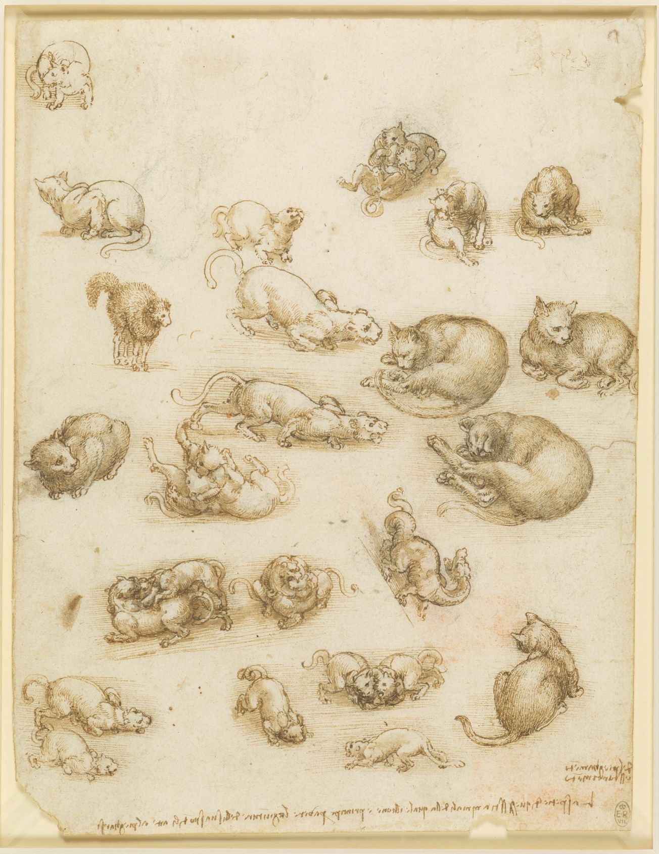 Leonardo da Vinci's sketches visit Bristol - 'A Life in Drawing' @ Bristol Museum & Art Gallery