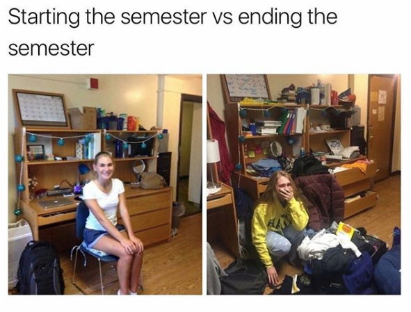 First year: expectation vs. reality