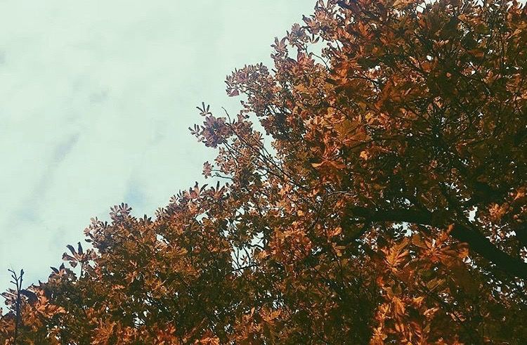 The importance of green spaces in Bristol