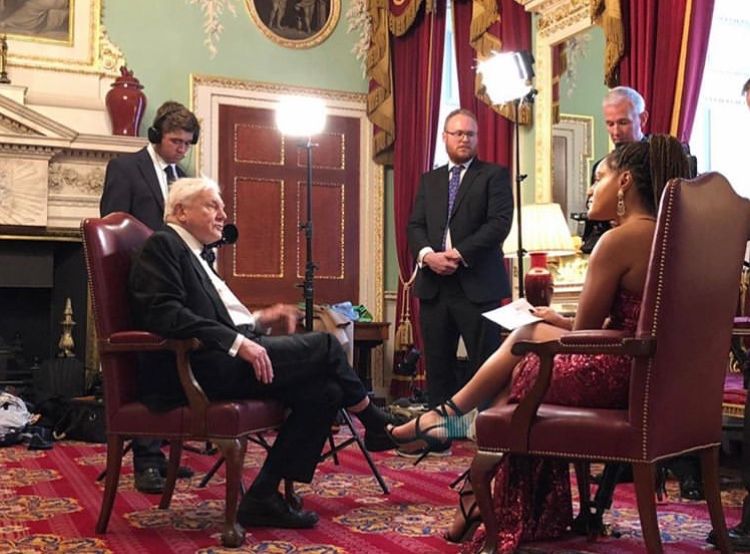 David Attenborough wins lifetime achievement award at Bristol alumni gala