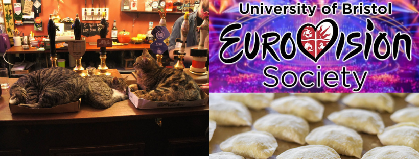 Looking to hug a cat or destigmatise Eurovision? 6 unusual societies to join this term