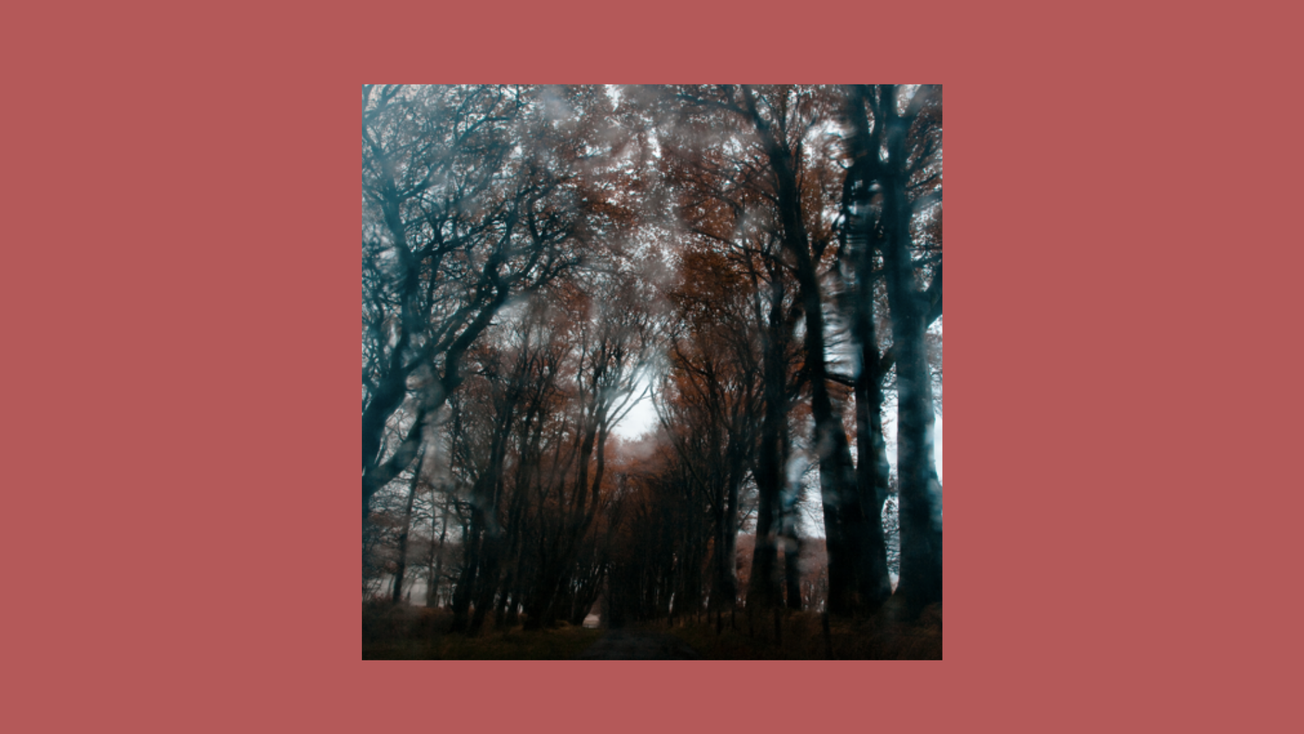 Review / The Blood Choir: Dartmoor EP