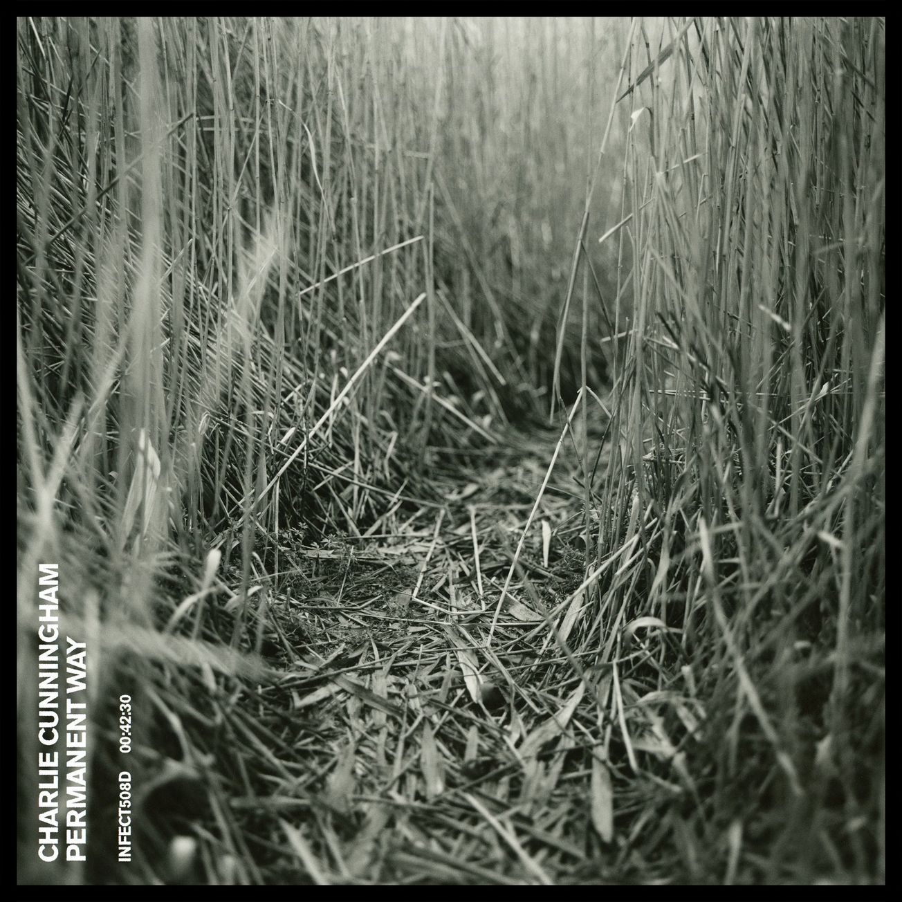 Album Review/ Charlie Cunningham - Permanent Way