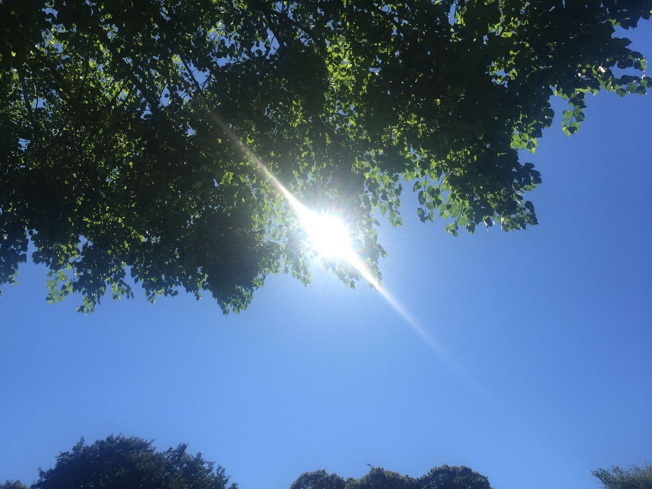 Greener globtrotting