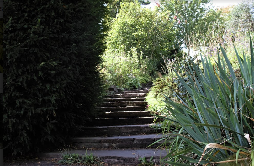 Five best green spaces to relax and unwind in Bristol