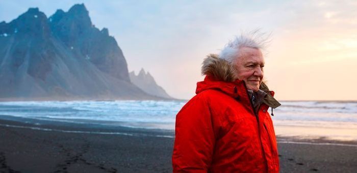 David Attenborough will return to Bristol for live screening of new series