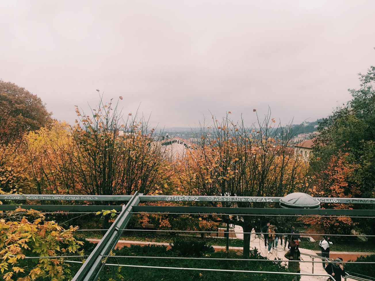 France: to study or to work?