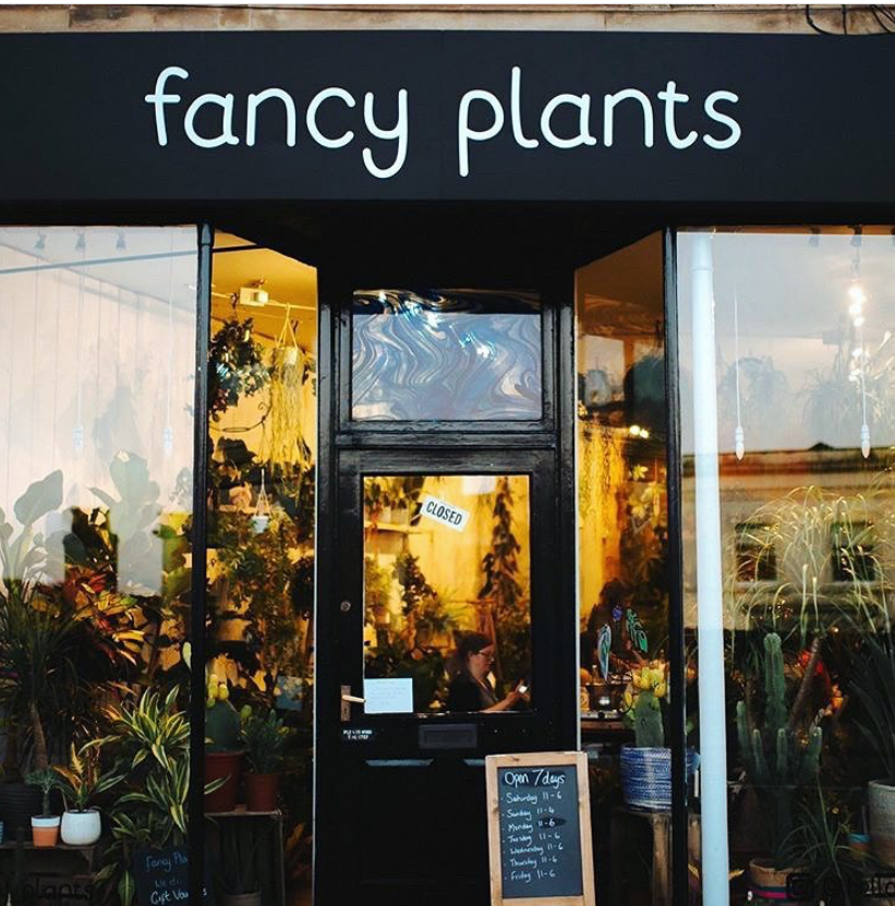 An Interview with: Fancy Plants