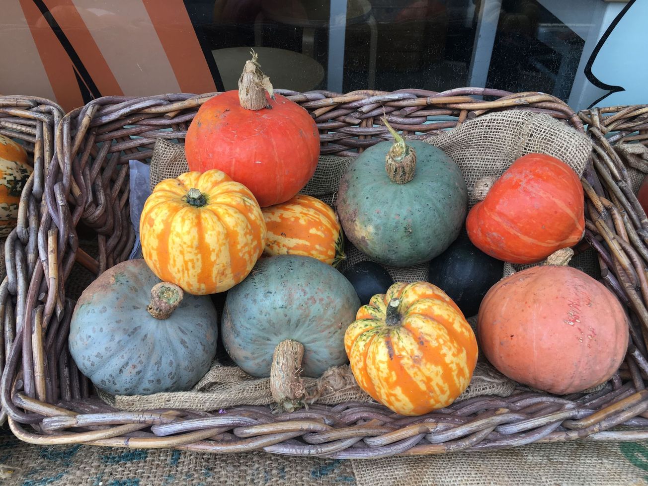 Wiccans meet unicorns: the strange evolution of Halloween traditions