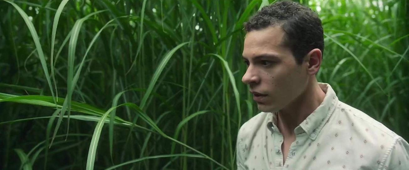 In the Tall Grass is both a hit and a miss