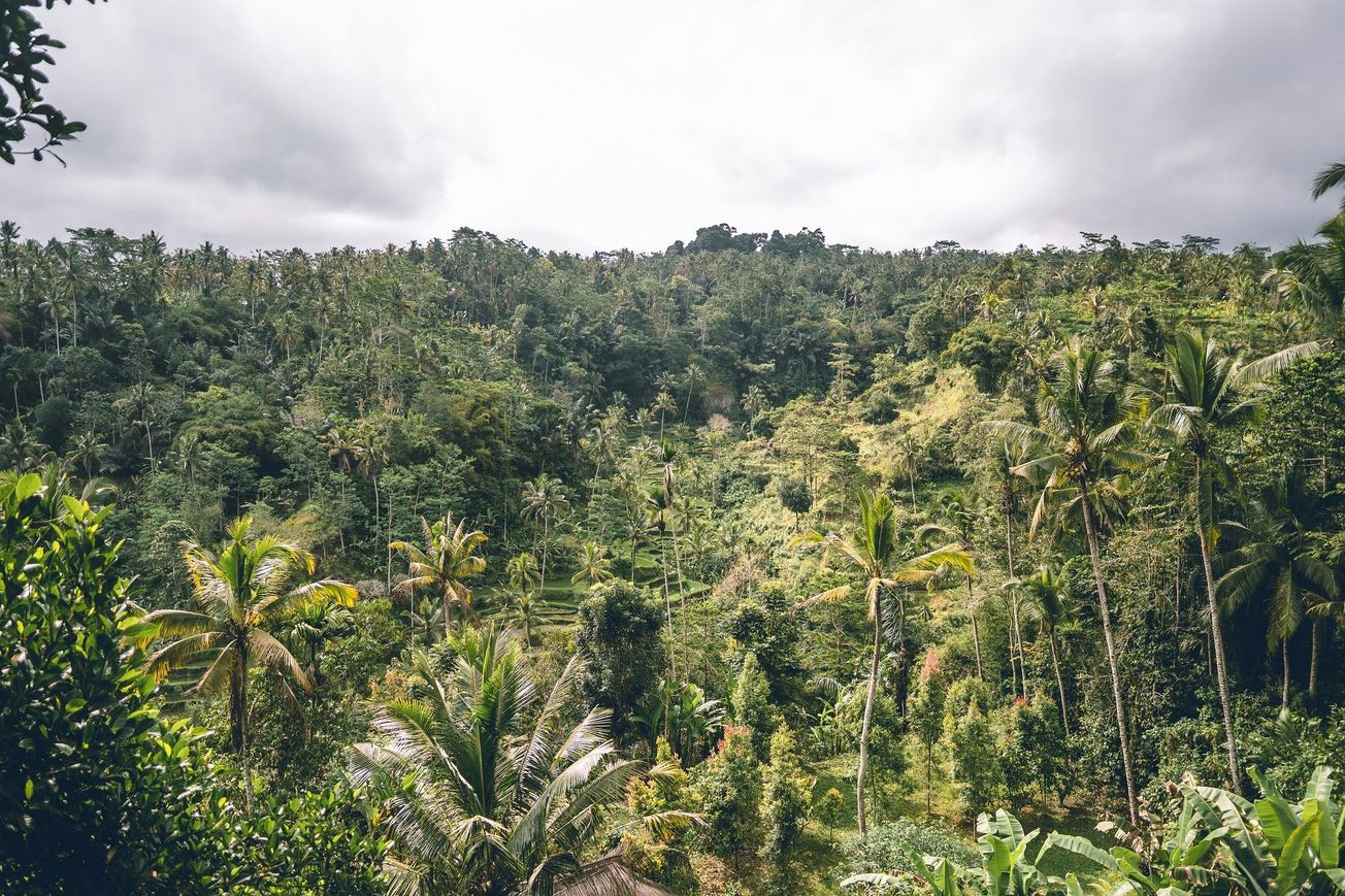 'Ket out of here': The environmental impact of drugs