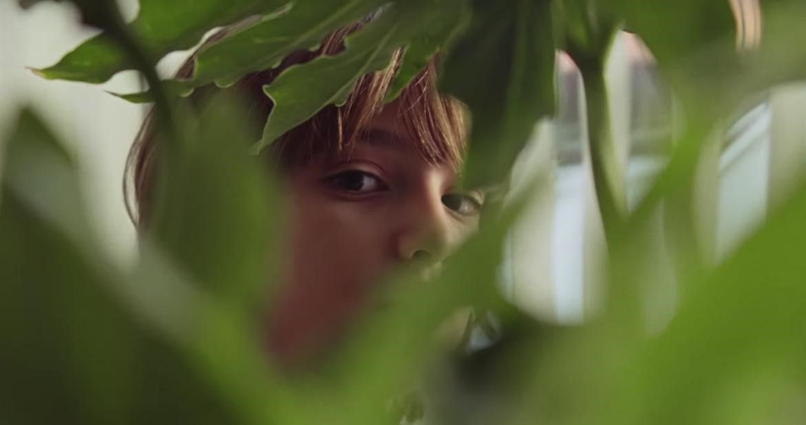 Marriage Story is bittersweet and sharply humourous