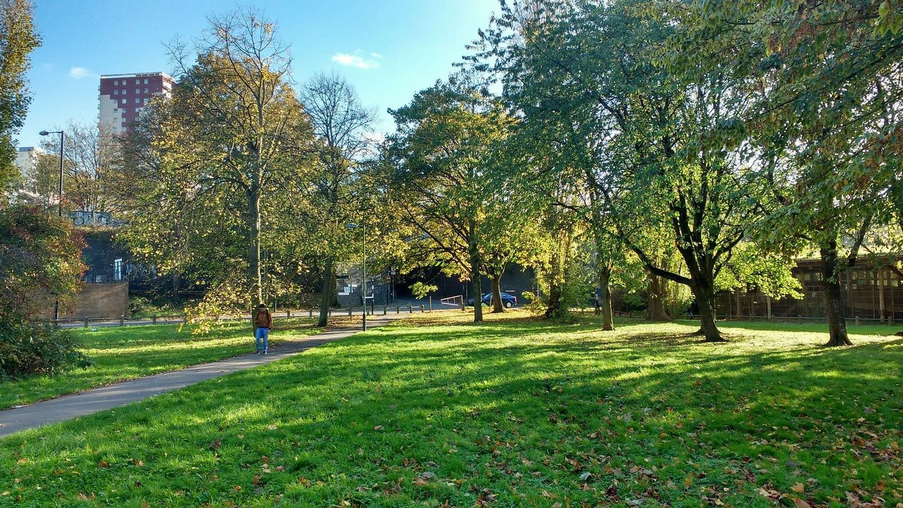 The Beauty of Bedminster