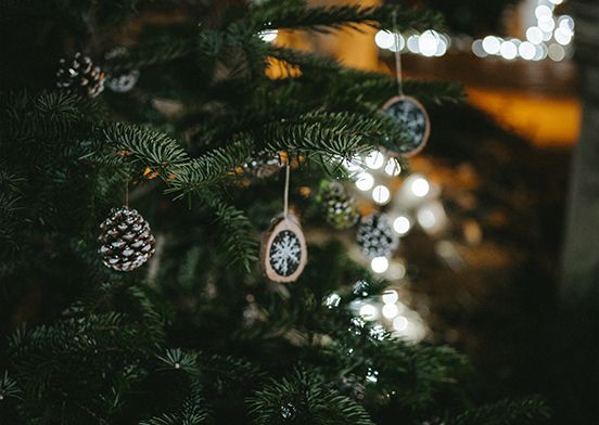 I'm dreaming of a greener Christmas