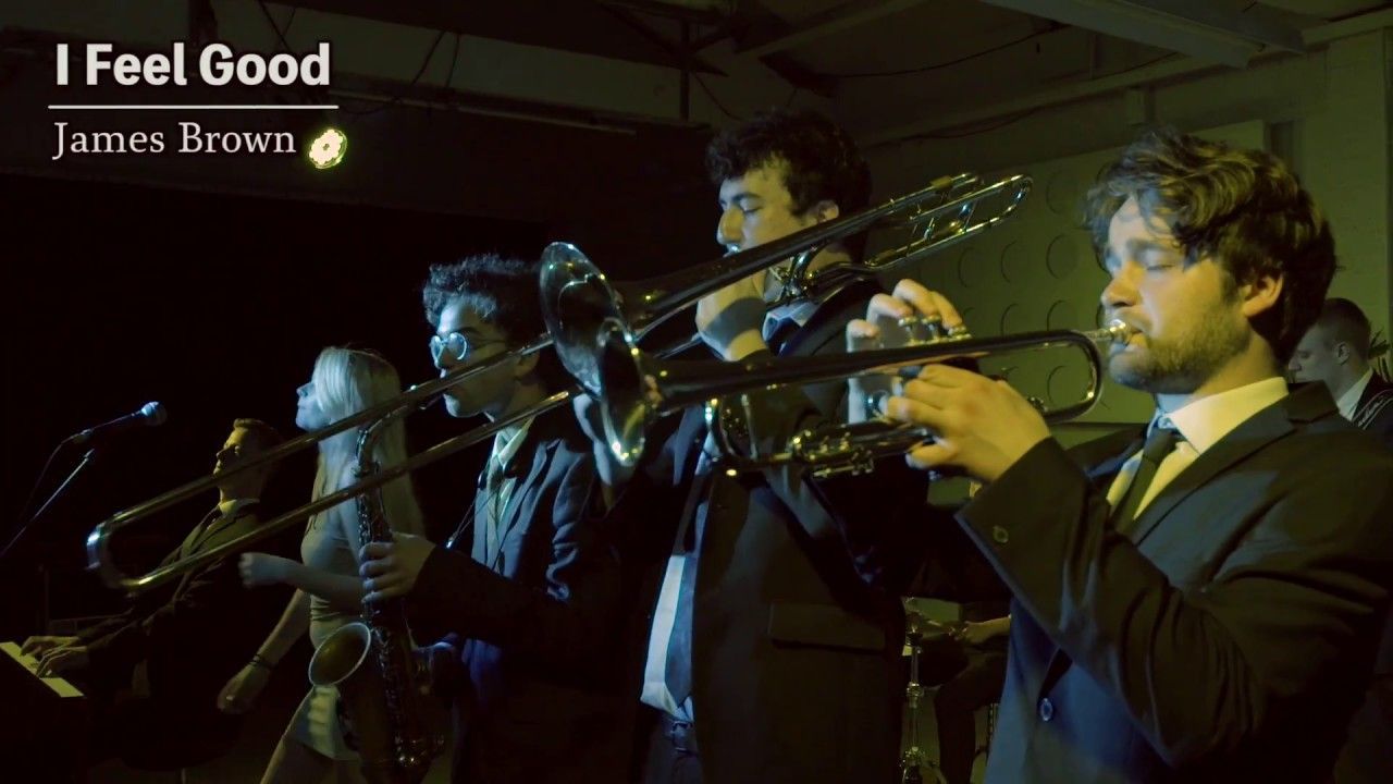 An introduction to: Mr. Chubbs Gastric Band