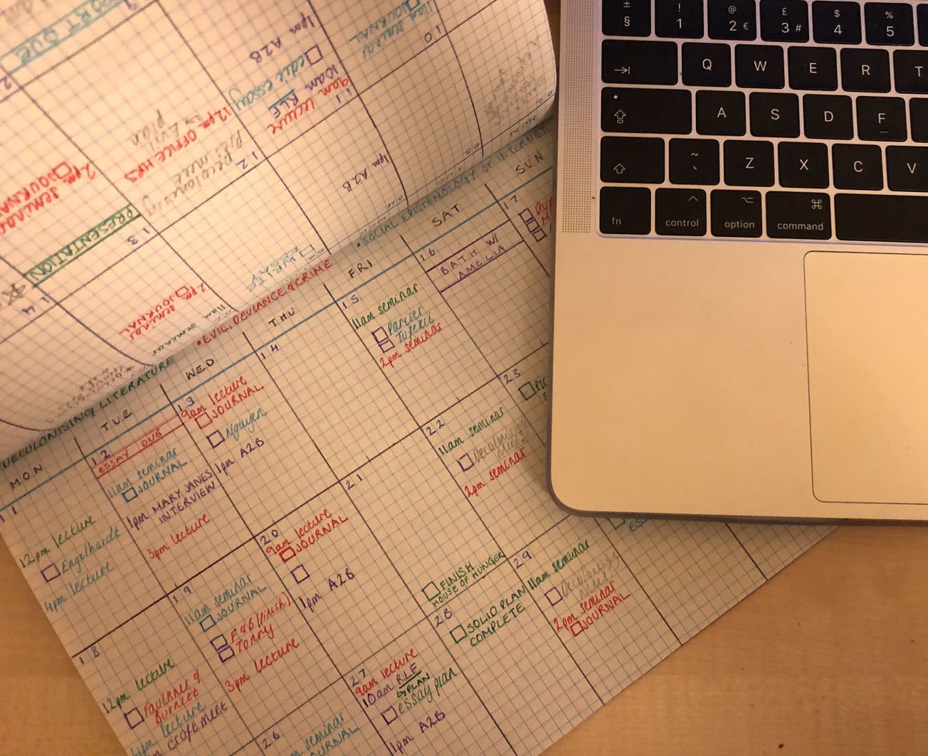 Turkey with a side of revision