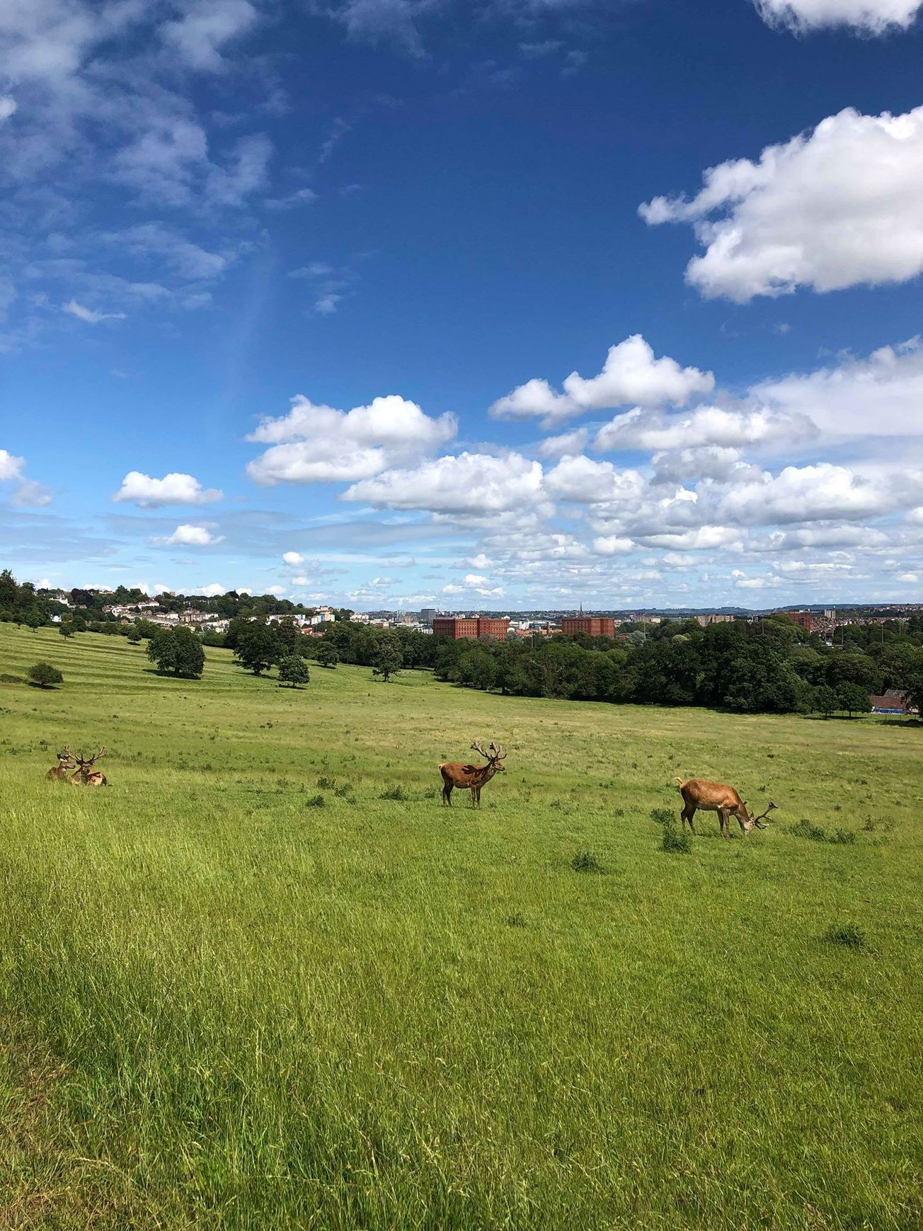 The gym: what's the alternative?