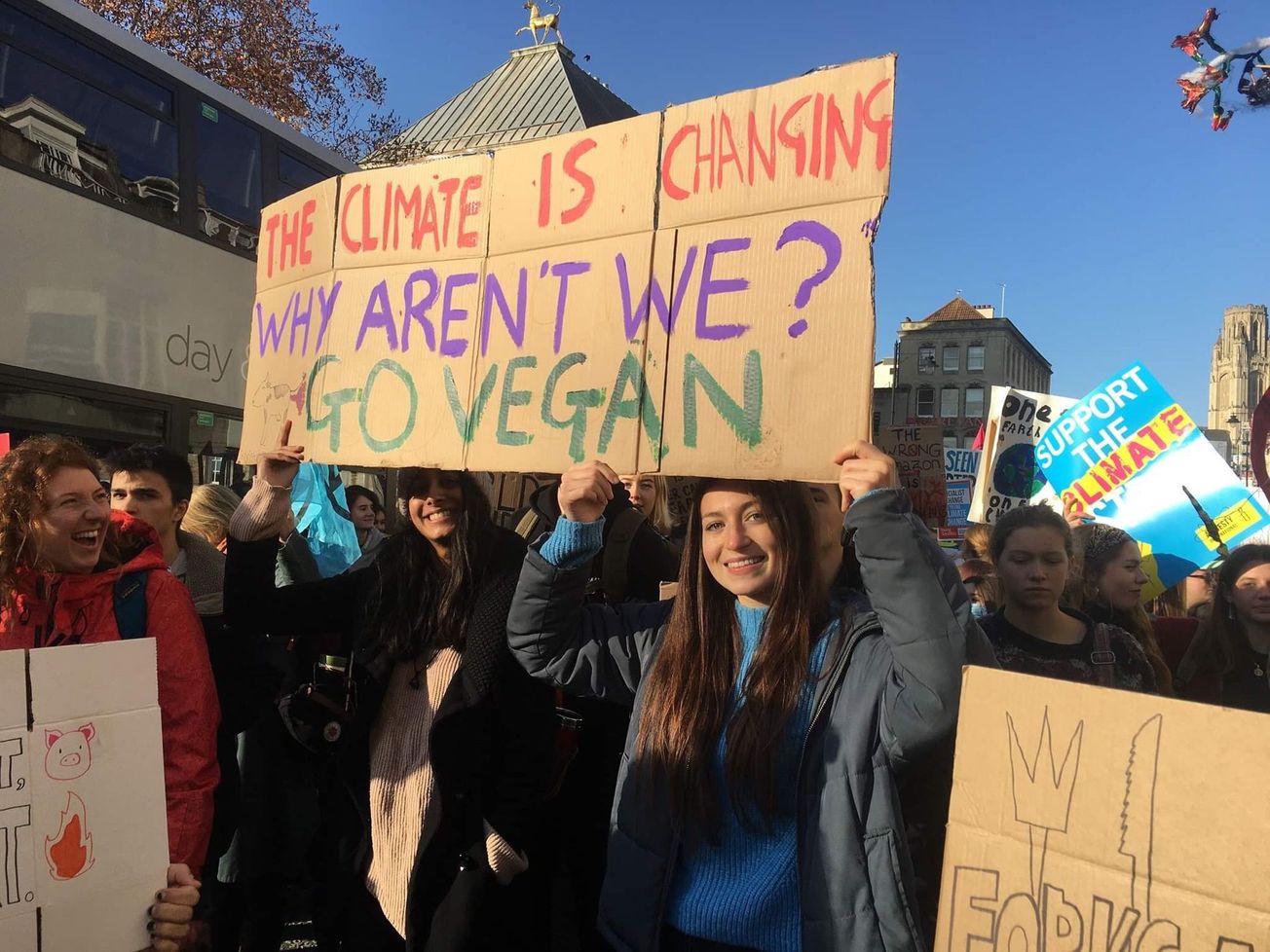 Animal Rights at Bristol: Has progress been made?