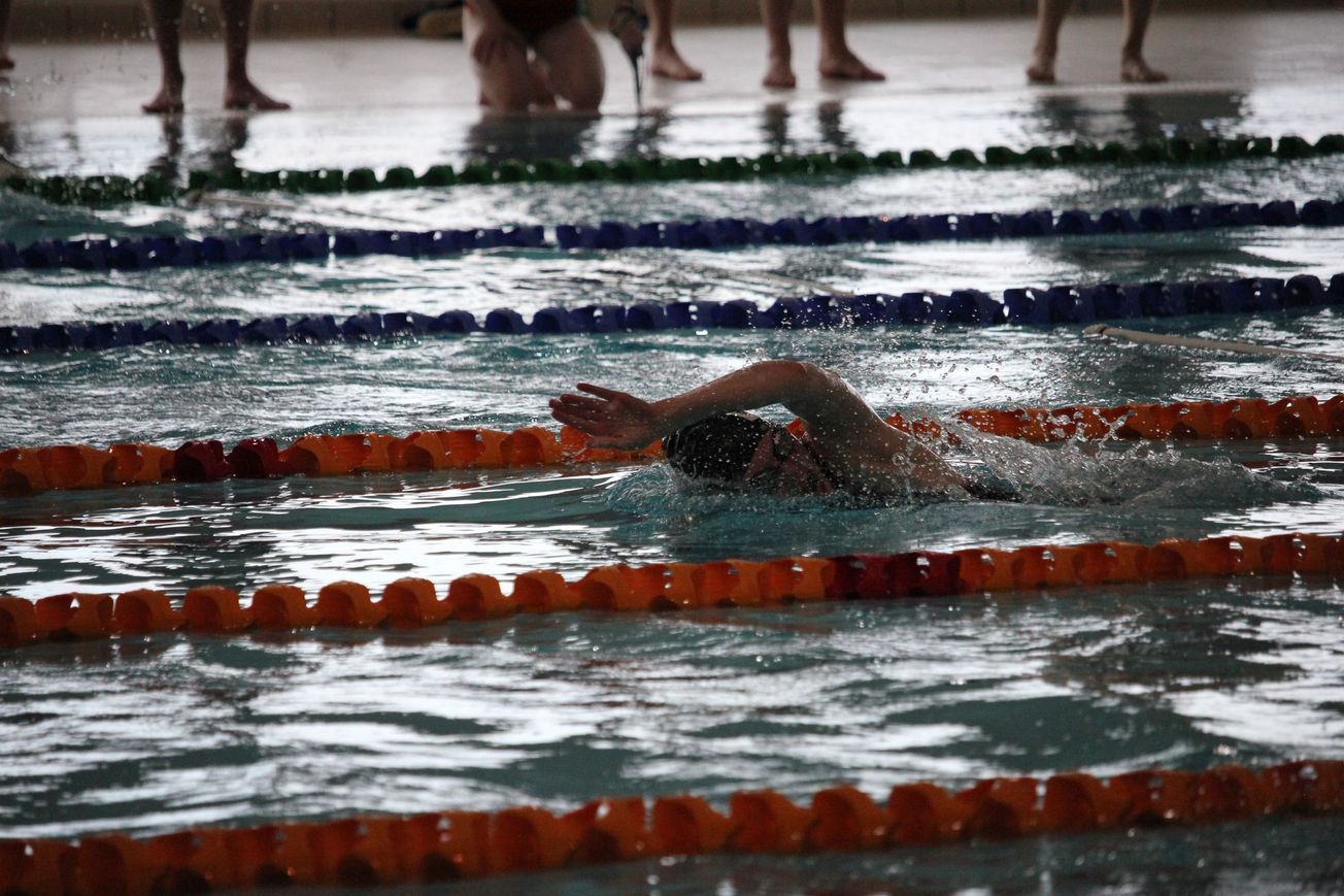 Bristol hosts BULSCA student championship