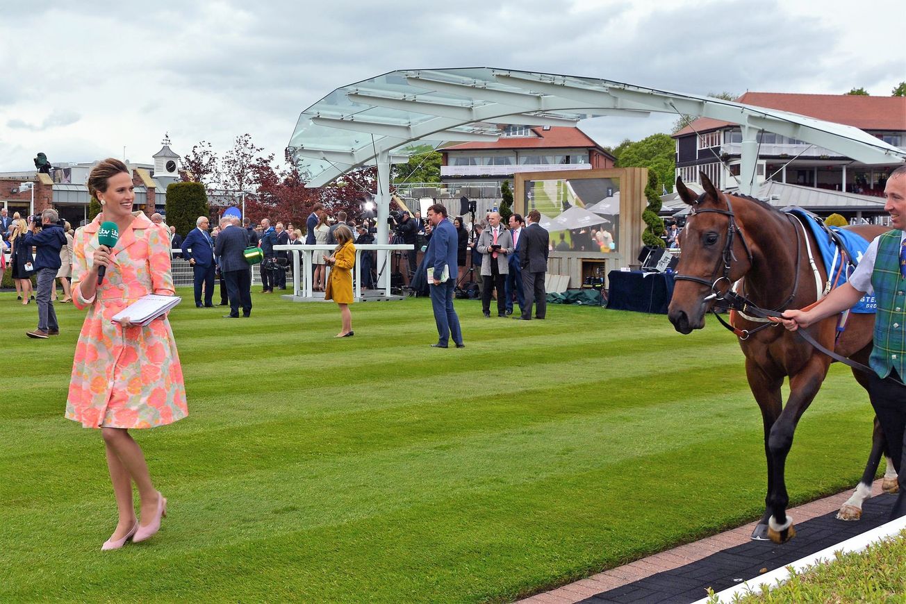 The meandering career paths of Bristol's successful alumni