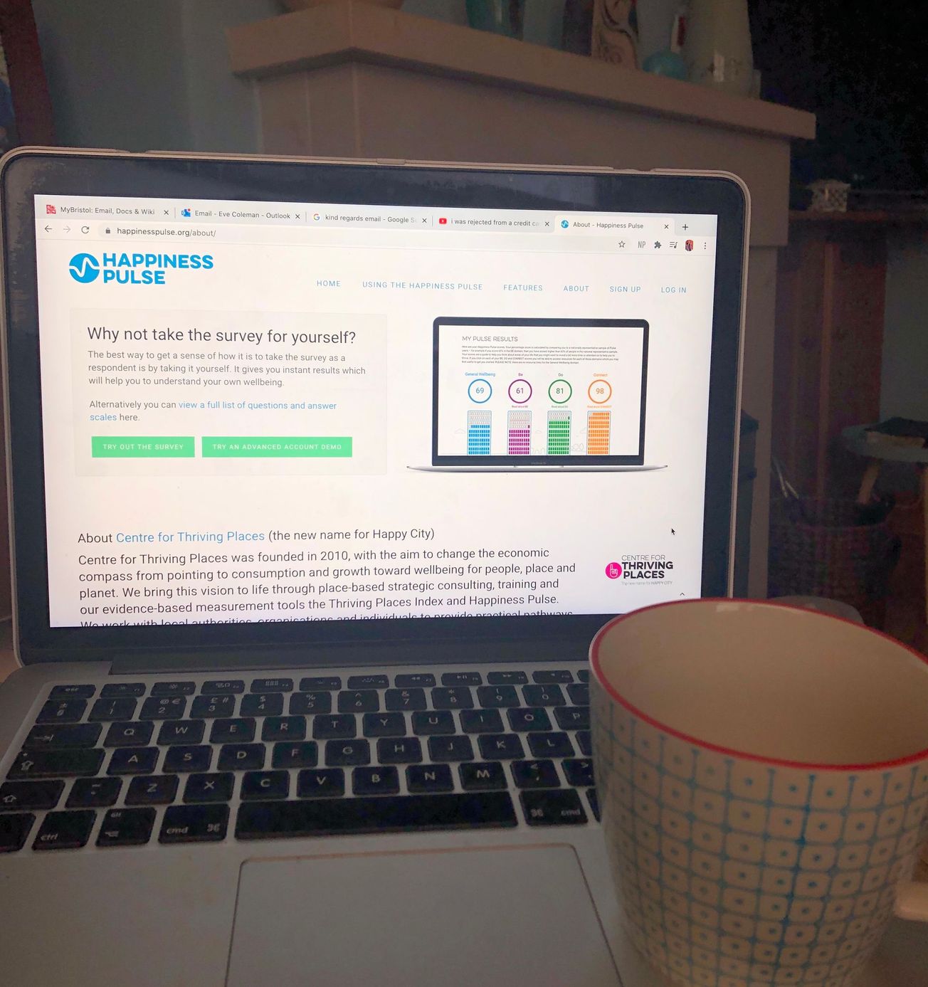 The Happiness Pulse: a Bristol-based wellbeing tool to boost self-reflection