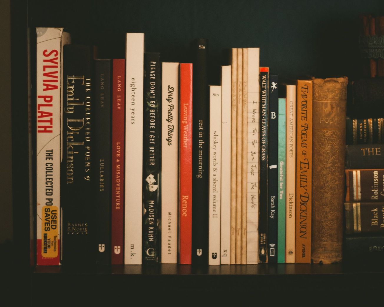 In Defence of Poetry: my tumultuous relationship with verse