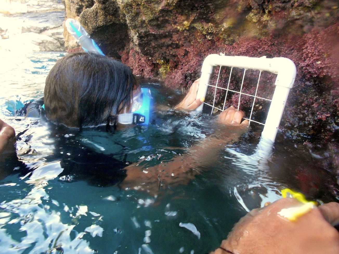 Diversity in STEM: a conversation with Dr Leanne Melbourne