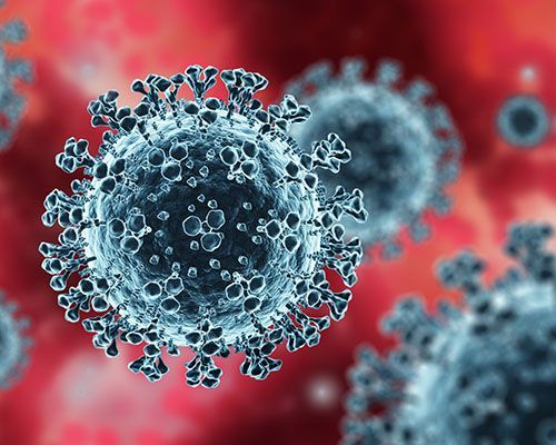 University of Bristol joins major £4million study to help develop coronavirus vaccine