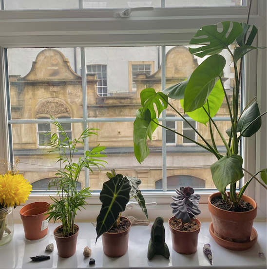 Alternative wellbeing series: A greener way to fight stress